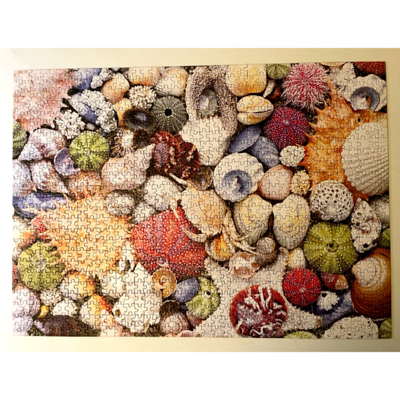 Re-marks Seashore 1000 Pieces Jigsaw Puzzle Complete Seashells Ocean Marine - Picture 5 of 5